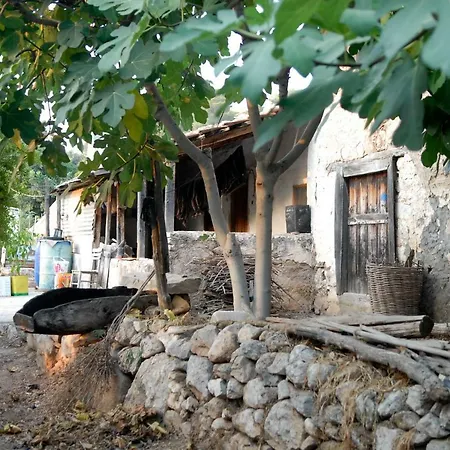 Guest house Exclusive Boutique Faralya
